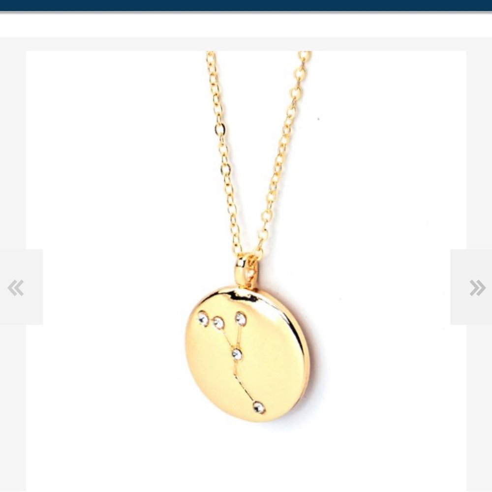 NWT Soul stacks cancer necklace